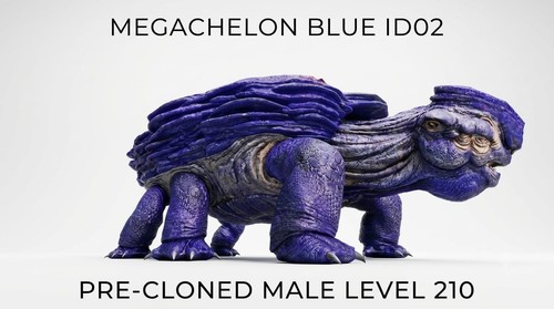 Megachelon maschio livello - maschio, 210