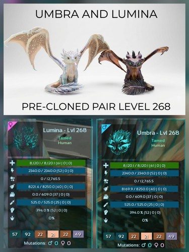 Umbra lumina preclonato - e,