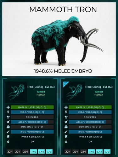 Mammoth top stats - top, baby